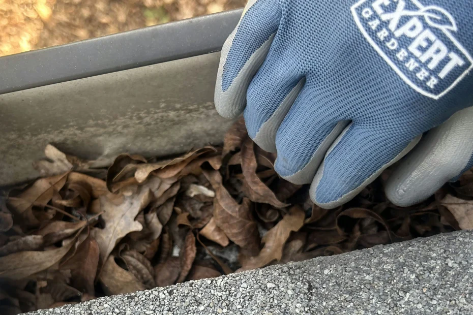 Gutter Cleaning Highland Court Manor