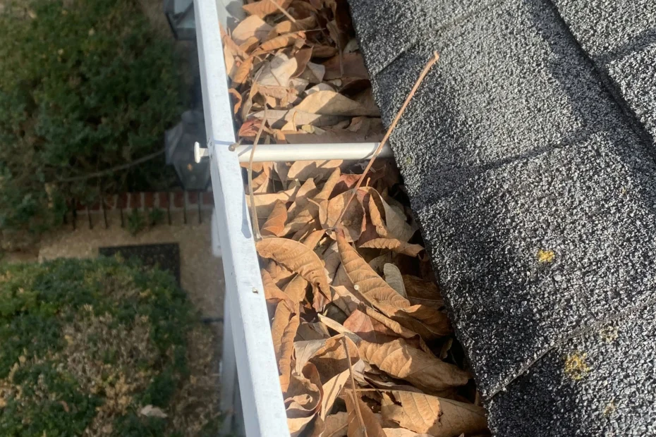 Gutter Cleaning Highland Court Manor