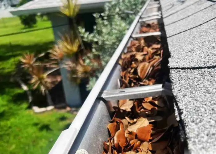 Gutter Cleaning Highland Court Manor home page